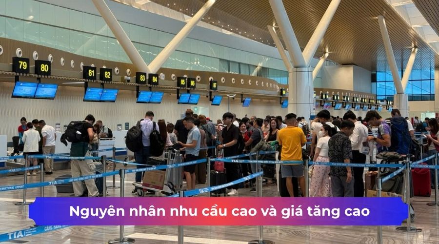 Nguyên nhân nhu cầu cao và giá tăng cao